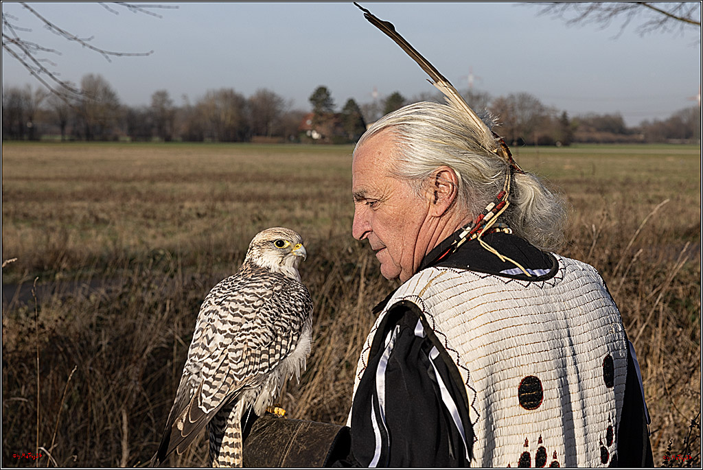 Cheyenne-Halbblut Hunting Wolf in der Falknerei Pierre Schmidt; Gymnich, 09.02.2023